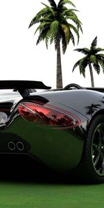 Auto,Rear View,Back View,Cabriolet,Scorpion,Cars