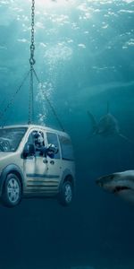 Voitures,Ford,Mer,Sharks,Humour