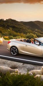 Opel Cascada,Дорога,Закат,Бараны,Тачки (Cars),Машины