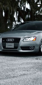 Transports,Voitures,Audi