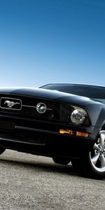 Transports,Voitures,Mustang