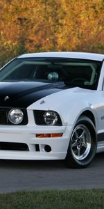 Transports,Voitures,Ford,Mustang