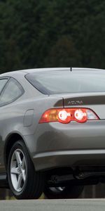 Rsx,2002,Акура (Acura),Акура,Тачки (Cars),Деревья,Стиль,Вид Сзади,Серый,Машины