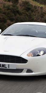 2010,Db9,Белый,Кустарники,Трава,Деревья,Асфальт,Тачки (Cars),Вид Спереди,Скорость,Астон Мартин (Aston Martin),Стиль,Спорт,Машины