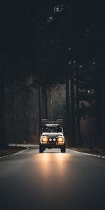 Auto,Trees,Cars,Road,Evening,Fog