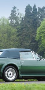 Auto,Trees,Side View,V8,Vantage,1984,Aston Martin,Cars