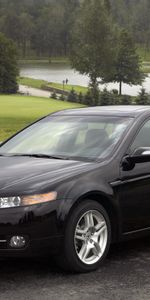 Auto,Water,Acura,Cars,Side View,Style,Akura,Lawn,Tl,2007,Nature,Trees