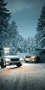 Auto,Winter,Trees,Snow,Cars