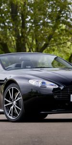 Madera,Vista Frontal,2010,V8,Ventaja,Aston Martin,Coches,Árbol,Automóvil,El Negro