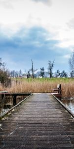 Autumn,Bridge,Pond,Nature