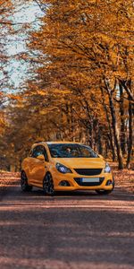 Otoño,Opel,Coches,Carro,Coche,Vista Frontal,Opel Corsa Opc