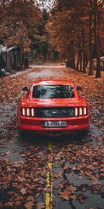 Autumn,Cars,Road,Sports Car,Sports,Car,Ford,Ford Mustang