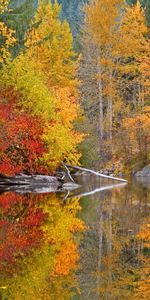 Autumn,Landscape,Nature