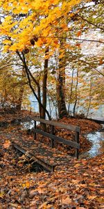 Automne,Nature,Paysage