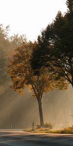 Paisaje,Carreteras,Otoño