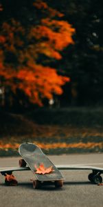 Autumn,Leaves,Asphalt,Skateboard,Sports,Skate