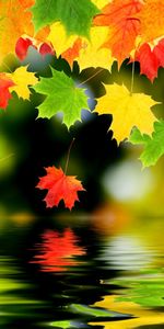 Feuilles,Contexte,Automne