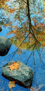 Nature,Feuilles,Réflexion,Couleur,Un Rocher,Pierre,Miroir,Couleurs,Automne