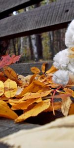 Autumn,Miscellanea,Miscellaneous,Bear,Toy,Loneliness,Leaves,Bench