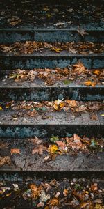 Autumn,Miscellanea,Miscellaneous,Ladder,Leaves,Stairs