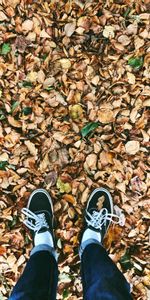 Autumn,Miscellanea,Miscellaneous,Legs,Fallen,Foliage