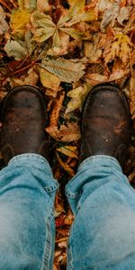 Autumn,Miscellanea,Miscellaneous,Legs,Fallen,Foliage