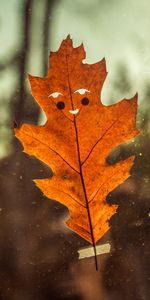 Autumn,Miscellanea,Miscellaneous,Sheet,Leaf,Smile,Funny