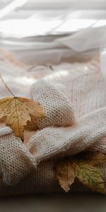 Feuille,Chandail,Érable,Divers,Automne