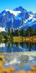 Autumn,Mountains,Tina,Slime,Trees,Lake,Nature