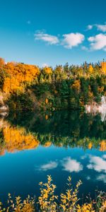 Naturaleza,Agua,Árboles,Lago,Otoño,Reflexión