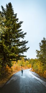 Autumn,Privacy,Seclusion,Miscellaneous,Road,Stroll,Miscellanea,Forest,Loneliness