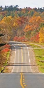 Routes,Paysage,Arbres,Automne