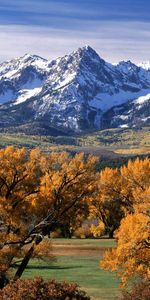 Autumn,Tops,Vertex,Crowns,Colorado,Nature,Trees,Mountains,Crown