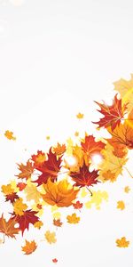 Background,Autumn,Leaves