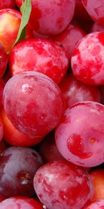 Background,Berries,Plum,Food,Fruits