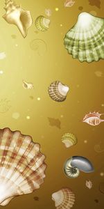 Background,Color,Shells,Texture,Textures,Drawing,Picture