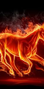 Background,Fire,Horses