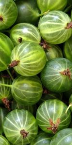 Background,Gooseberry,Berry,Food