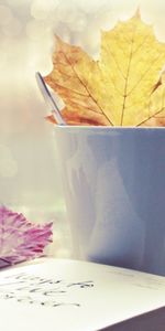 Background,Leaves,Cups