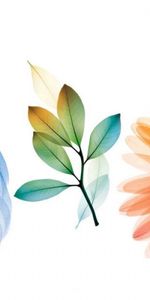 Background,Leaves,Flower,Paint,Abstract