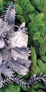 Background,Needle,New Year,Fir Trees,Holidays,Christmas Xmas