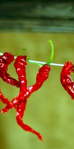 Background,Pepper,Food