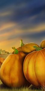 Background,Vegetables,Pictures,Pumpkin