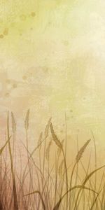 Background,Wheat