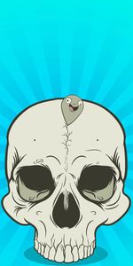 Ball,Bead,Lines,Graphics,Skull,Vector