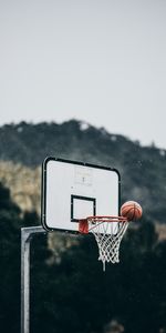 Ball,Throw,Basketball Hoop,Basketball Ring,Sports,Basketball