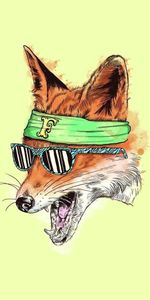 Bandage,Lunettes,Un Renard,Photo,Renard,Dessin,Art