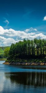 Banque,Couler,Été,Rive,Nature,Arbres,Rivières