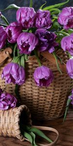 Basket,Braiding,Weaving,Baskets,Tulips,Flowers