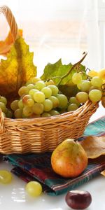 Basket,Food,Fruits,Grapes